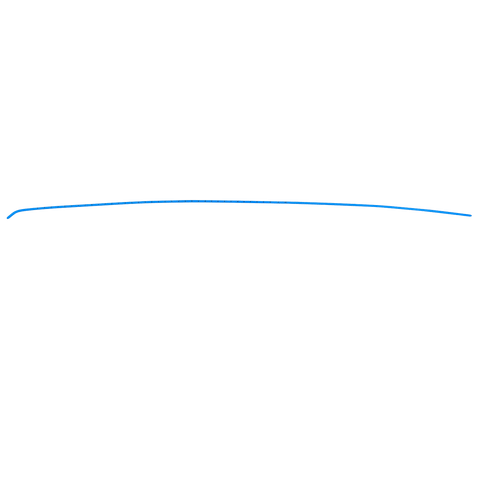 Endotracheal Tube Introducers (Bougie)