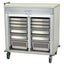 Stainless Steel Double Column Half Height Slimline Stationary Cabinet, with Key locking doors with tempered glass windo