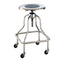 Stainless Steel Revolving Stool with Foot Ring - SS6704