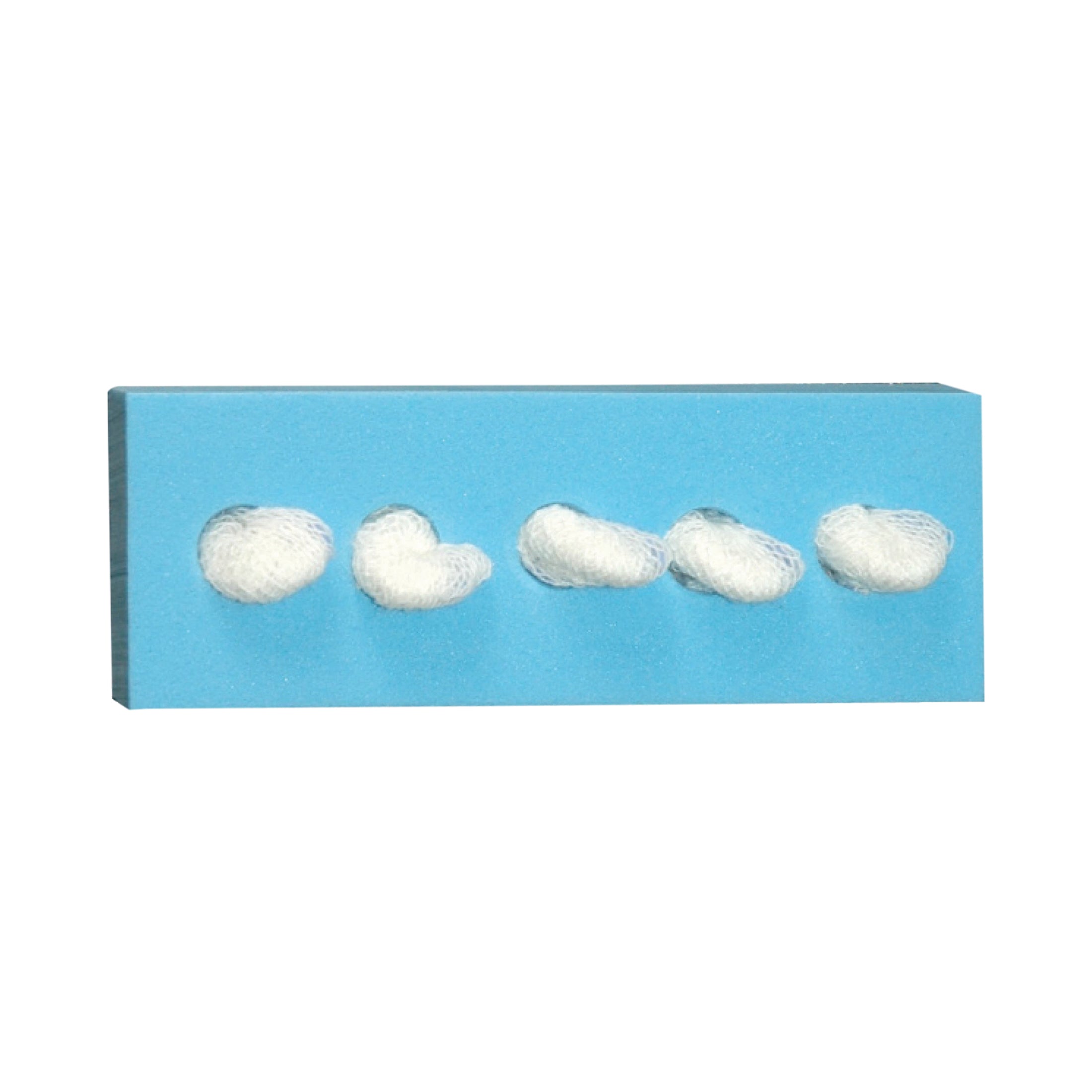 Sterile Cherry Sponges 1/2" - 10673 Main image