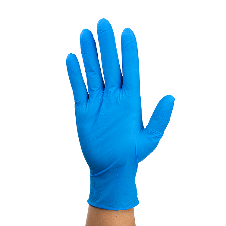 Nitrile Gloves in a Bag, Powder-Free