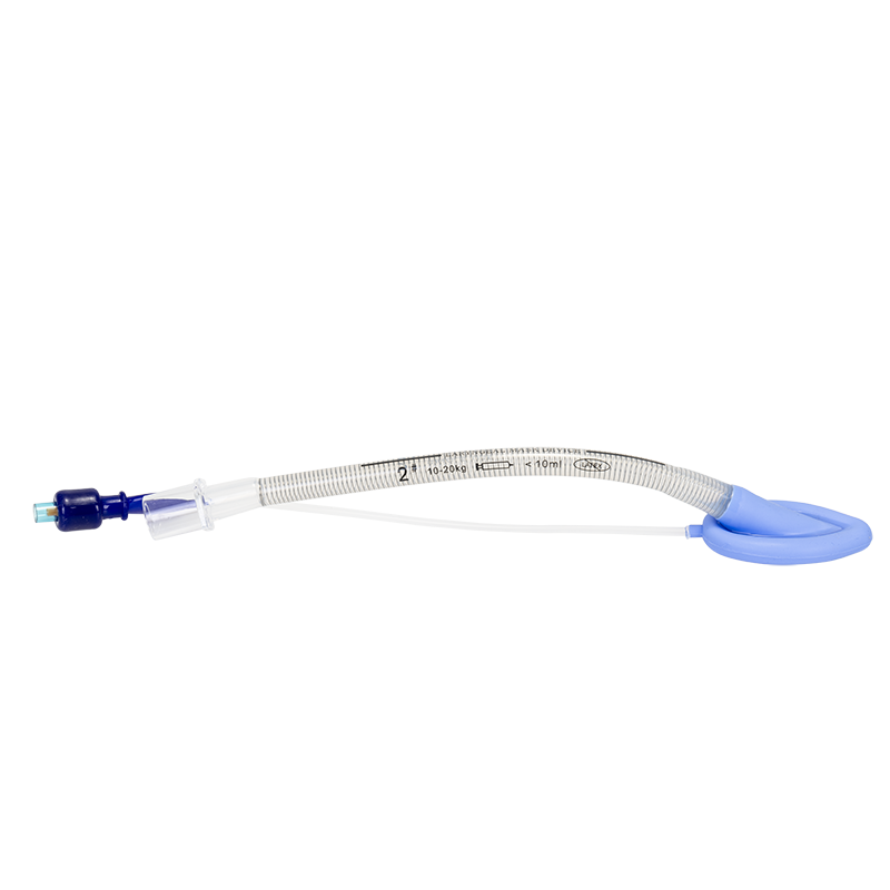 Laryngeal Mask Airways (LMA) (Case of 5)