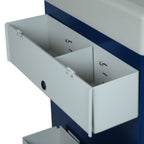 2 Section Cup/Straw Holder, with lid. Dims: 5.5" H x 19.5" W x 5" D