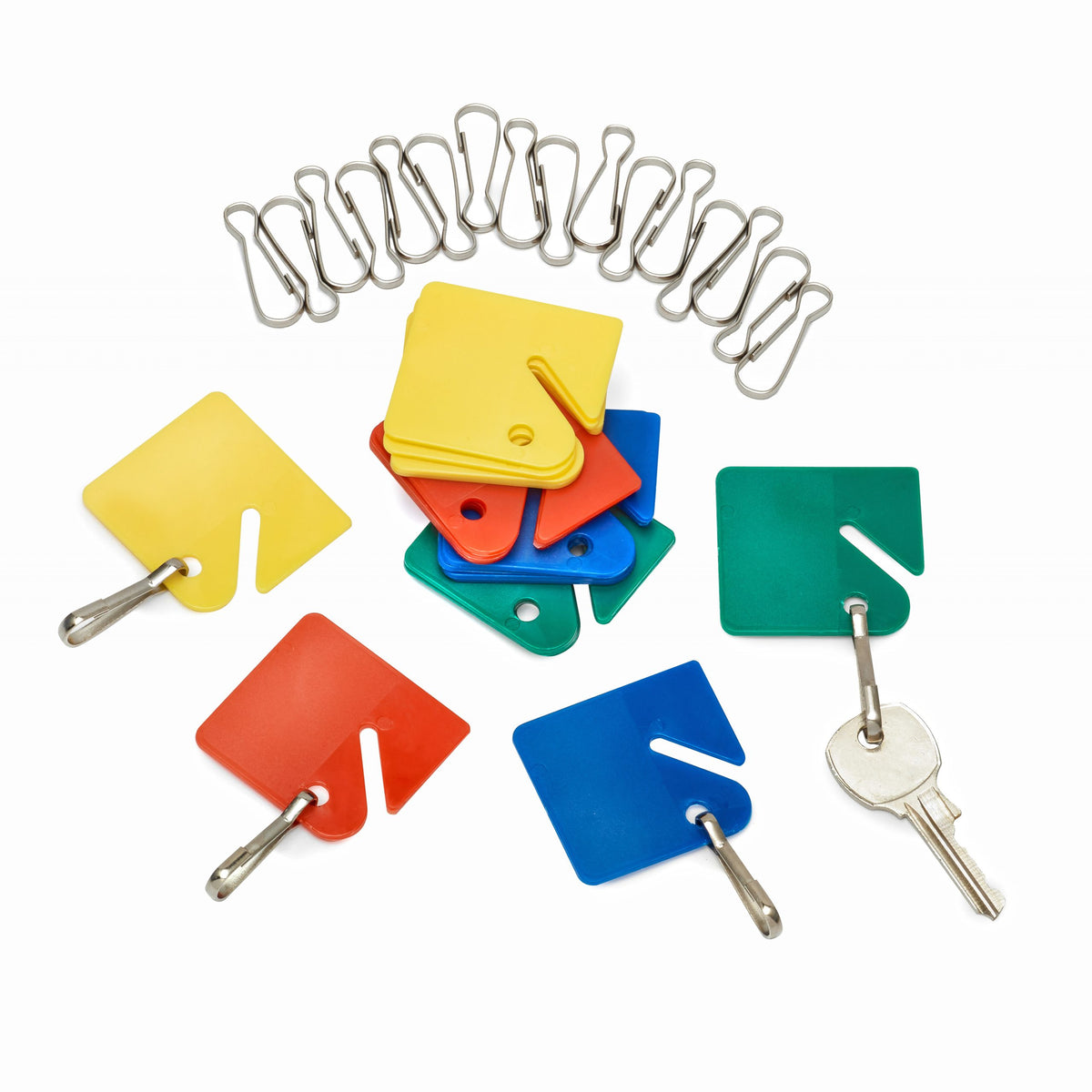 Alpine Key Tags