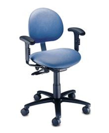 Brewer Ergonomic task chair (w/ adjustable arms)