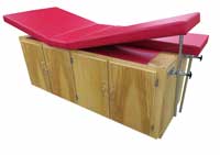 Bailey Cabinet Table, Four Doors, Locking Dual Legrests & Backrest - Model 4311