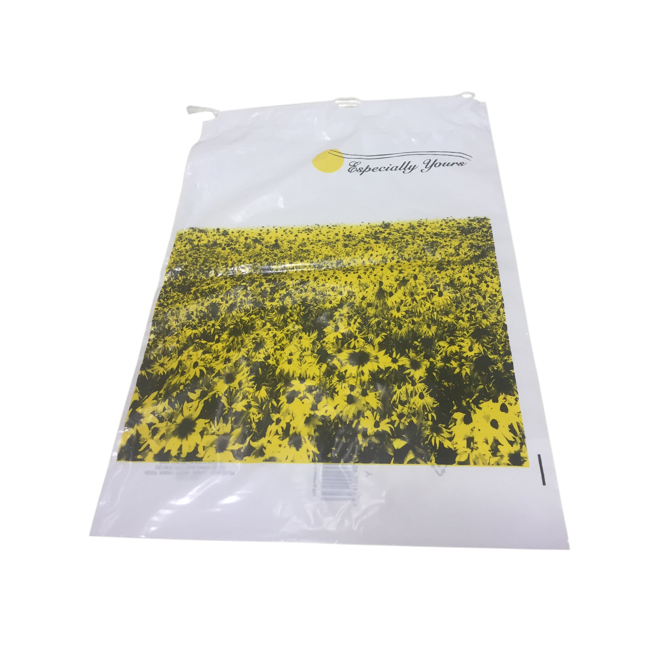 Patient Belonging Bags 11 x 17 - DS300