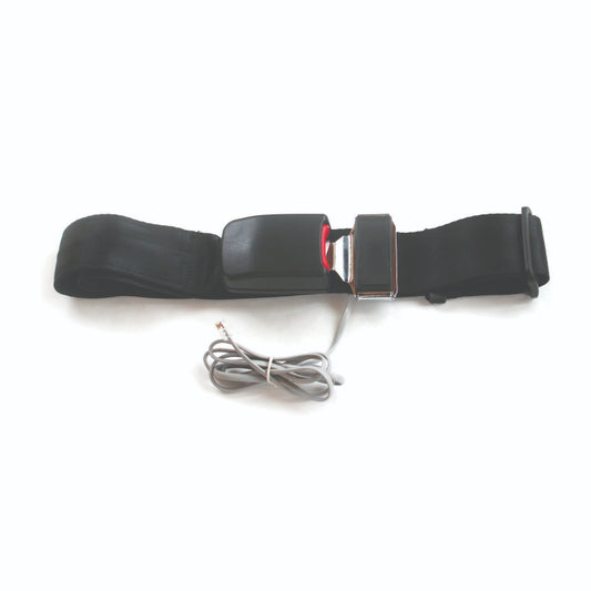 Fall Monitoring Seatbelts