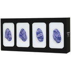 Bowman Glove Box Dispenser Divided Vertical/Horizontal Steel