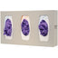 Glove Box Dispenser - Triple - Divided - GL300-0212