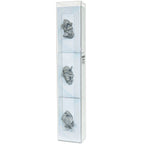 Bowman Glove Box Dispenser Vertical/Horizontal Space Saver PETG Clear
