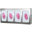 Glove Box Dispenser - Quad - Divided - GS-124