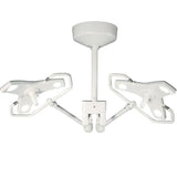Burton Outpatient LED Double, Ceiling Mount