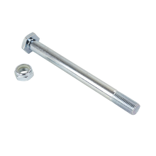 DynaRide S2 Rear Axle Bolt/Nut