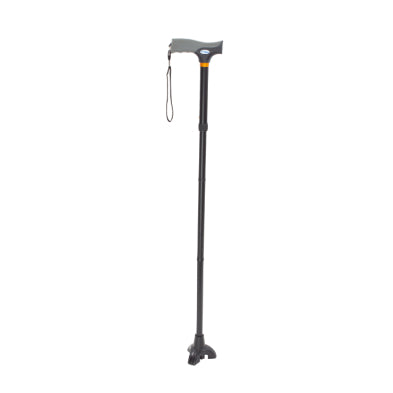 Stand Up Cane