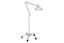 Epic Led Floorstand