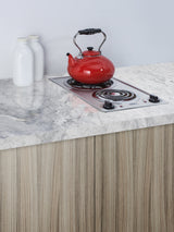 115V 2-burner coil cooktop in stainless steel, made in the USA - Set