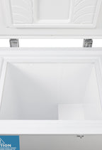4.8 Cu.Ft. -85ºC Ultra Low Chest Freezer (Model LAB11R9)
