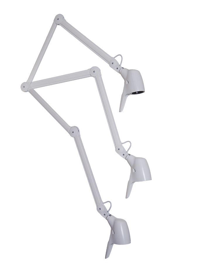 Carelite Wall Mount