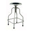 Stainless Steel Revolving Stool with Foot Ring - SS6701