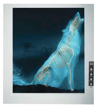 Wolf X-Ray Half Speed Film