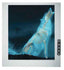 Wolf X-Ray Half Speed Film